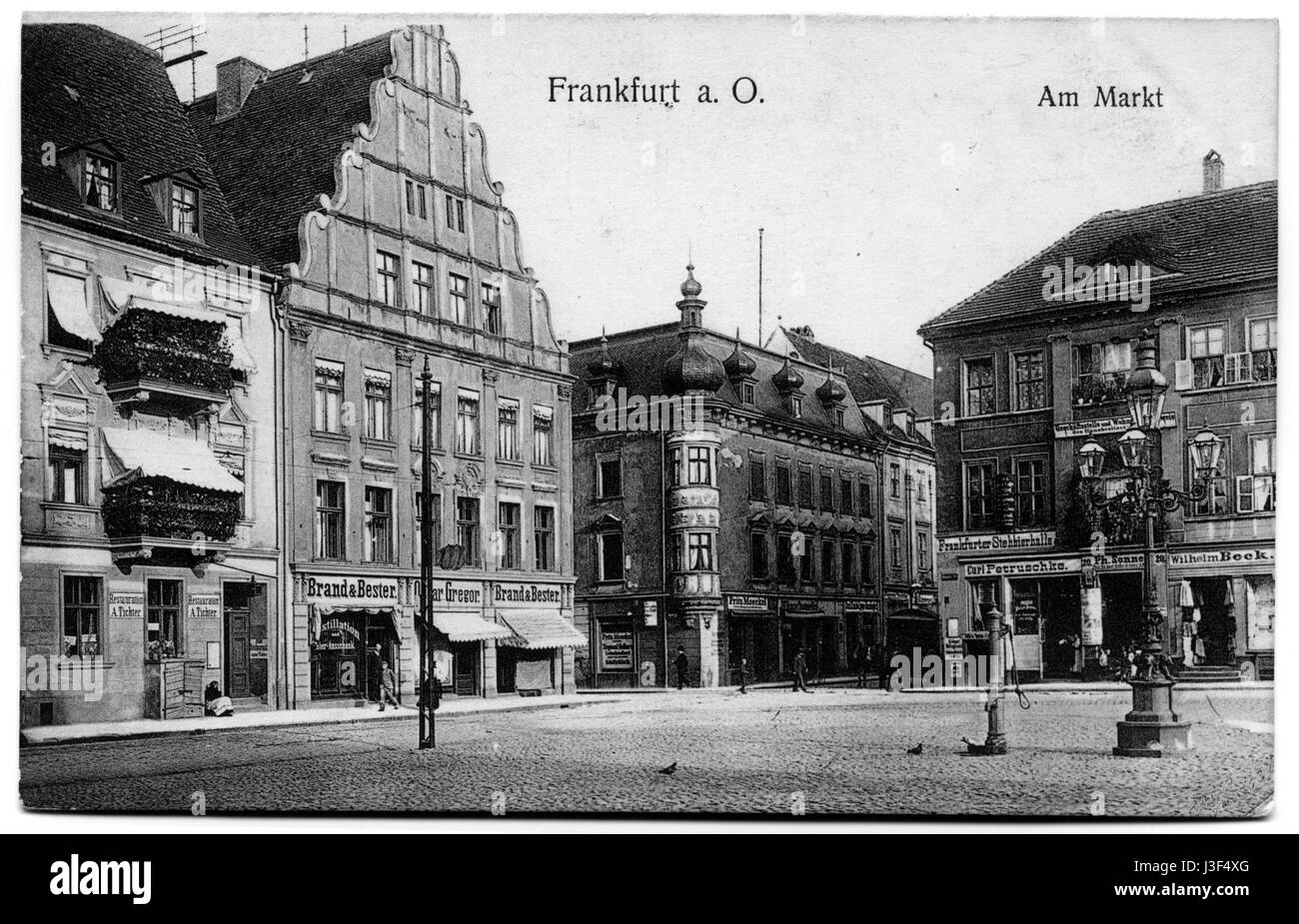action markt frankfurt oder