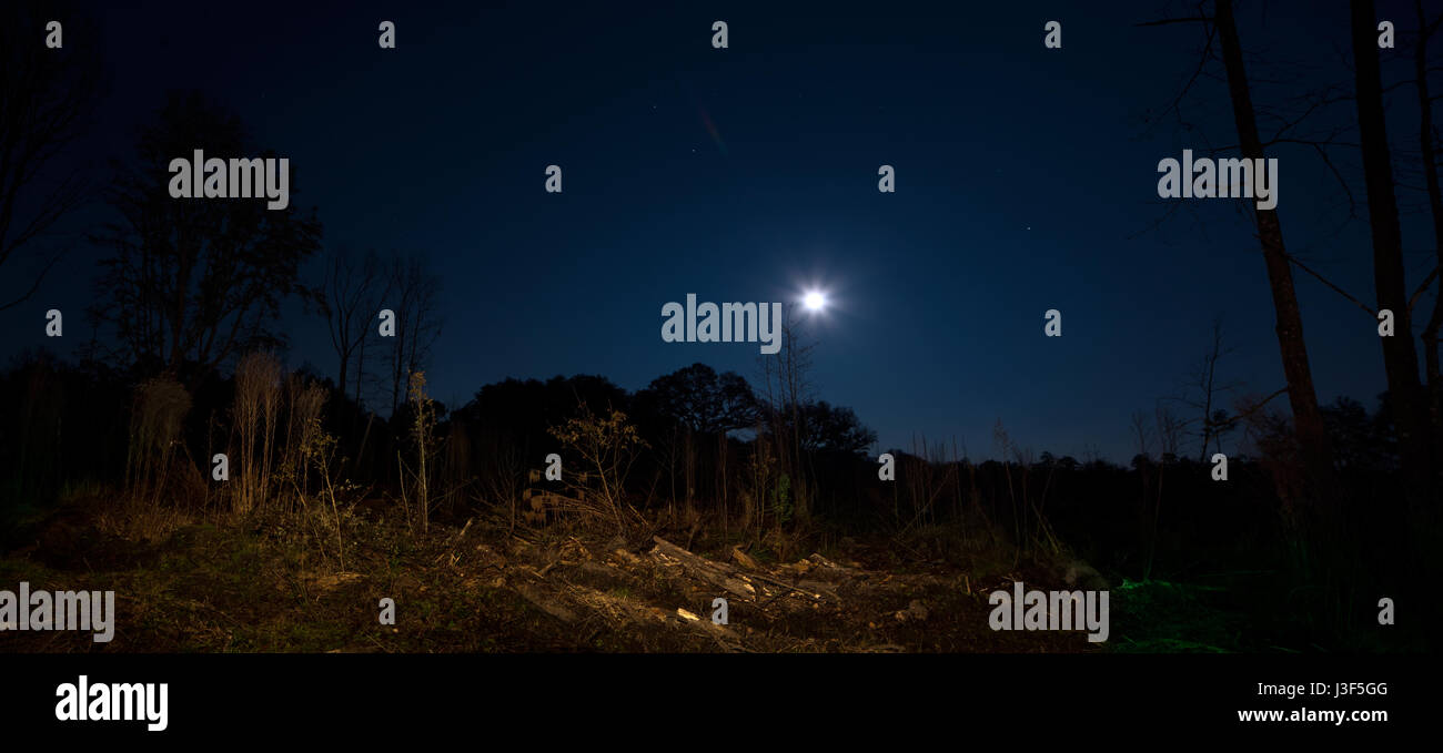 A full moon rises over the countryside on a cold winter night in North Florida. Stock Photo