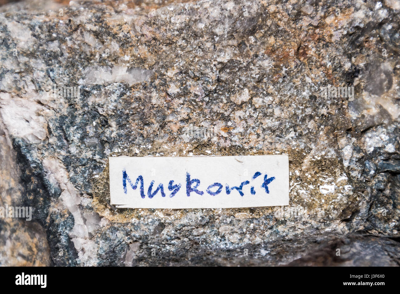 Porno tomosha qilish uchun xotinini sotdi