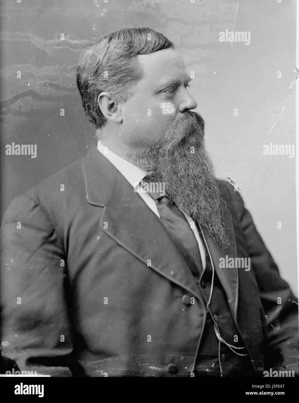 Fitzhugh Lee   Brady Handy Stock Photo