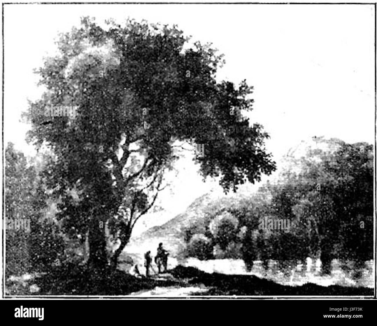 Forest landscape by Maria Wirtemberska Stock Photo Alamy