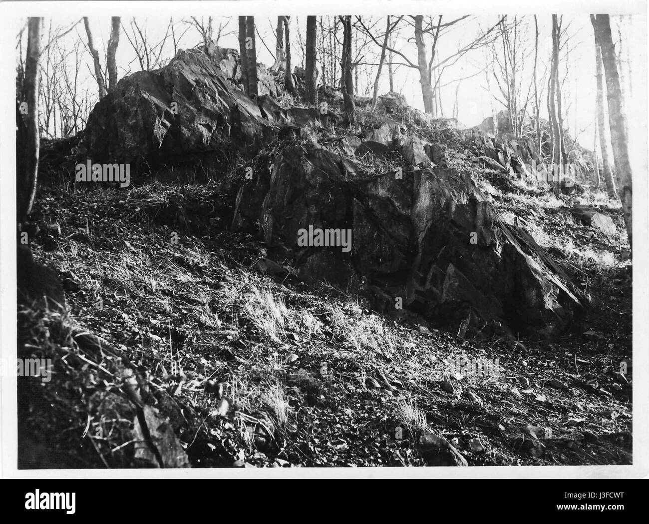 Foto foto Black and White Stock