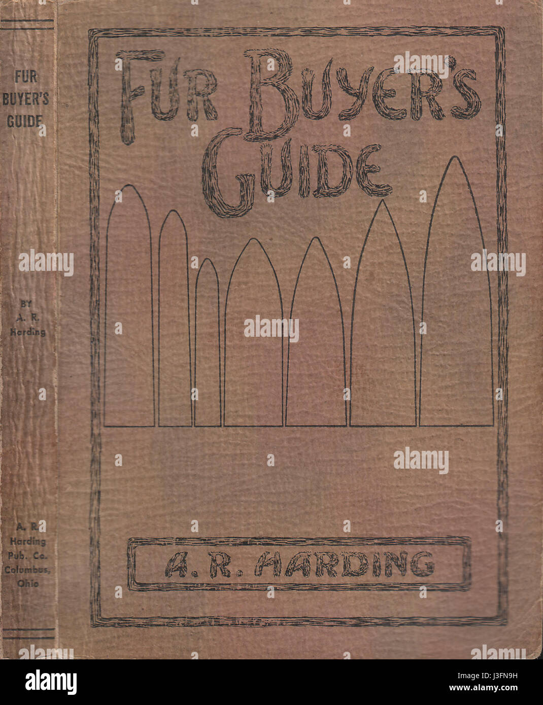 Fur Buyer's Guide, A. R. Harding, 1915 Stock Photo - Alamy