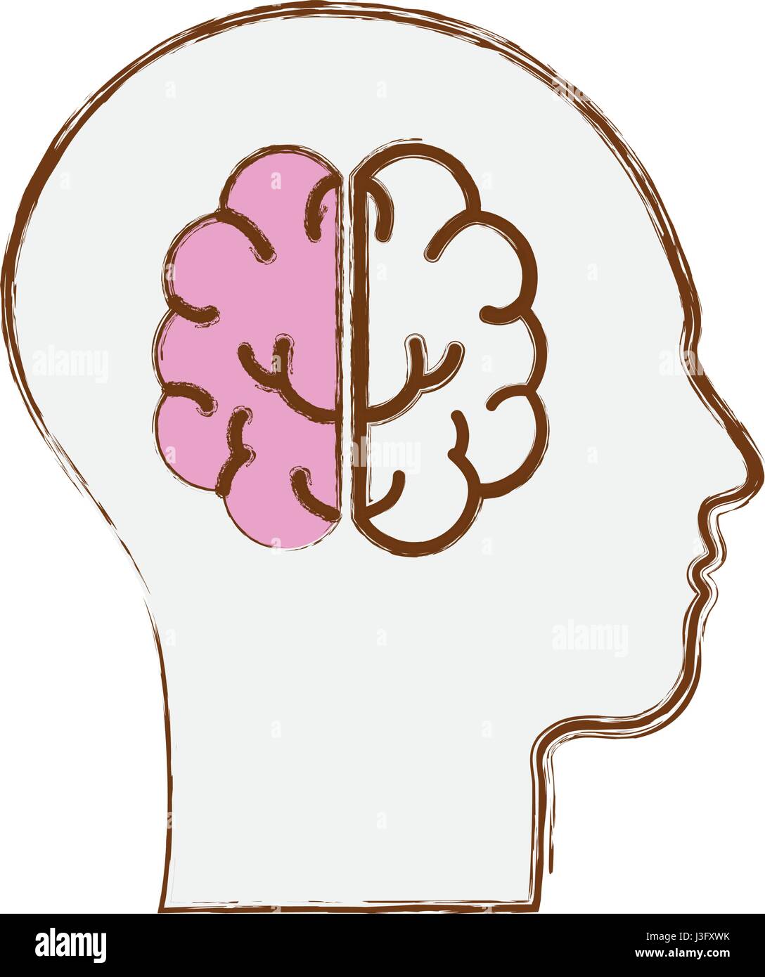 line silhouette head with brain inside Stock Vector Image & Art - Alamy