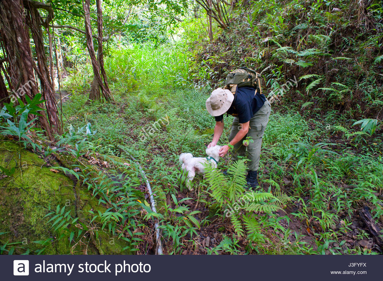 Palolo Valley High Resolution Stock Photography and Images Alamy