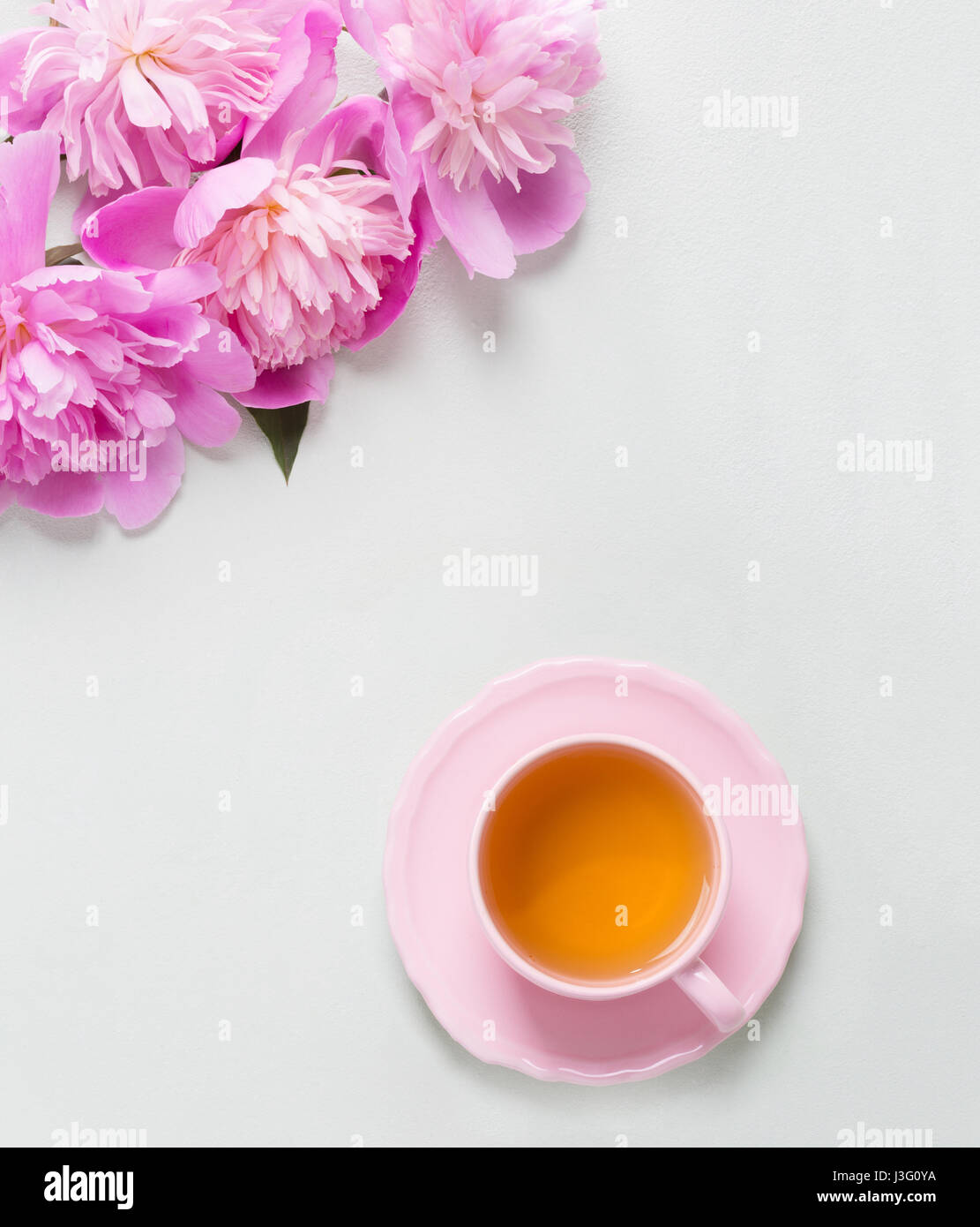 Cup of tea  and Peonies on light  grey table. Stock Photo
