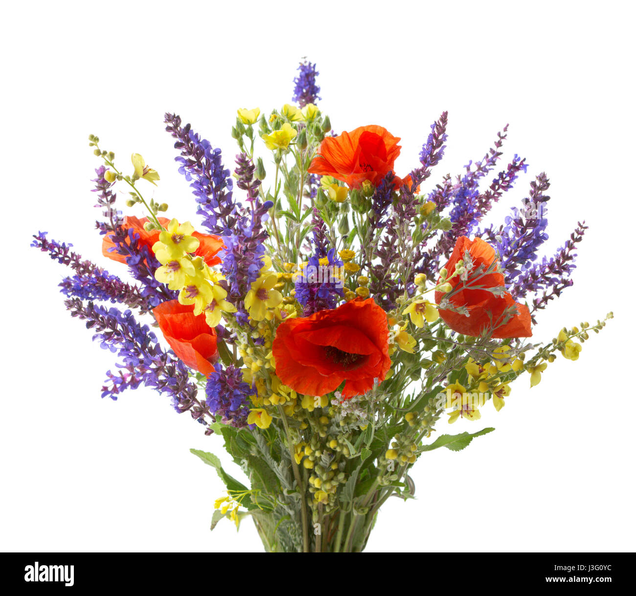 Colorful bouquet of red  poppies  and another  wildflowers (meadow sage, black mullein) isolated  on white. Stock Photo