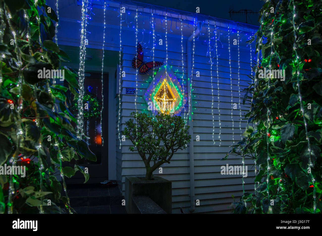 Franklin road auckland christmas lights