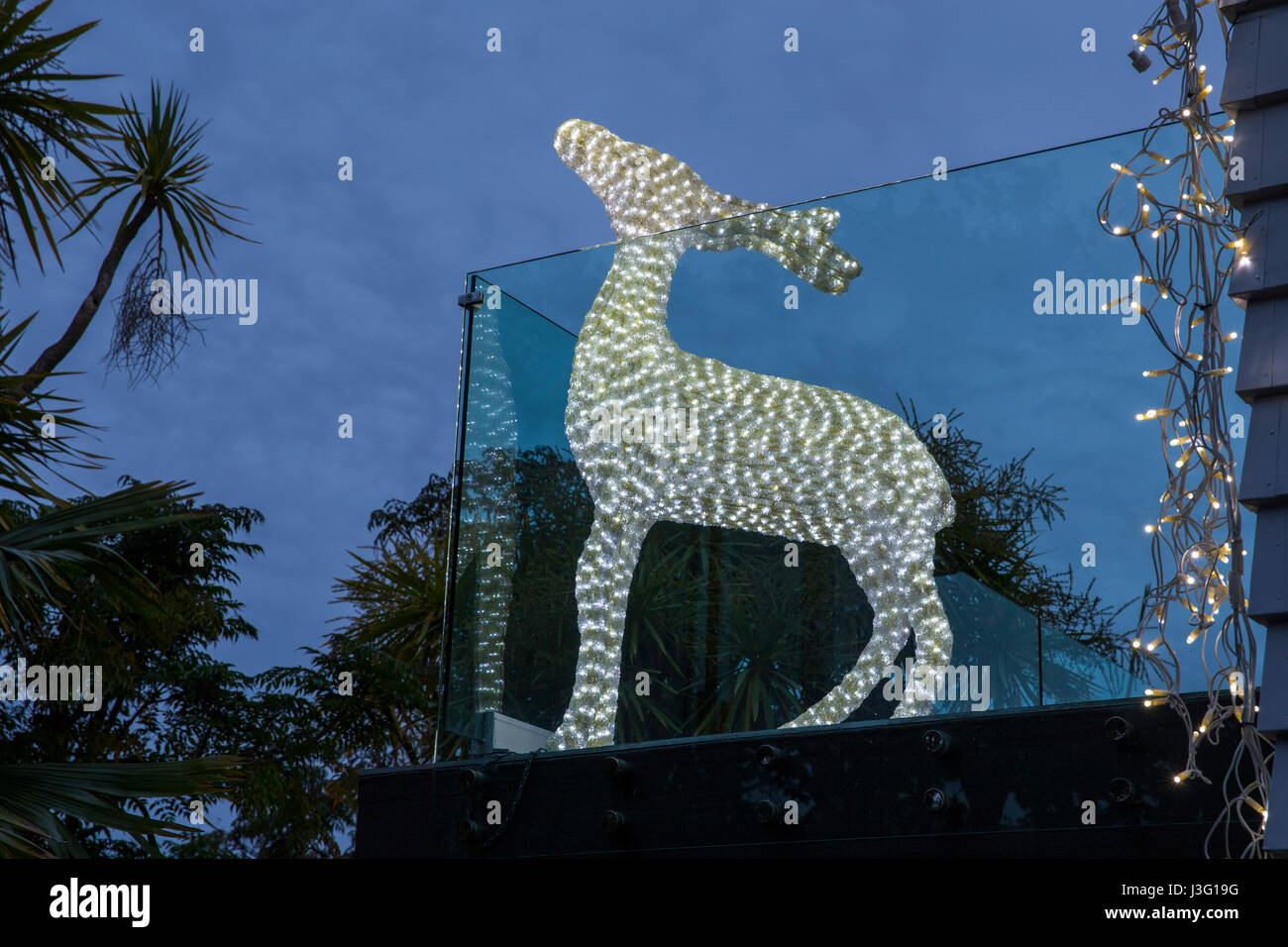 Christmas Lights decorate houses in Franklin Road, Auckland, New