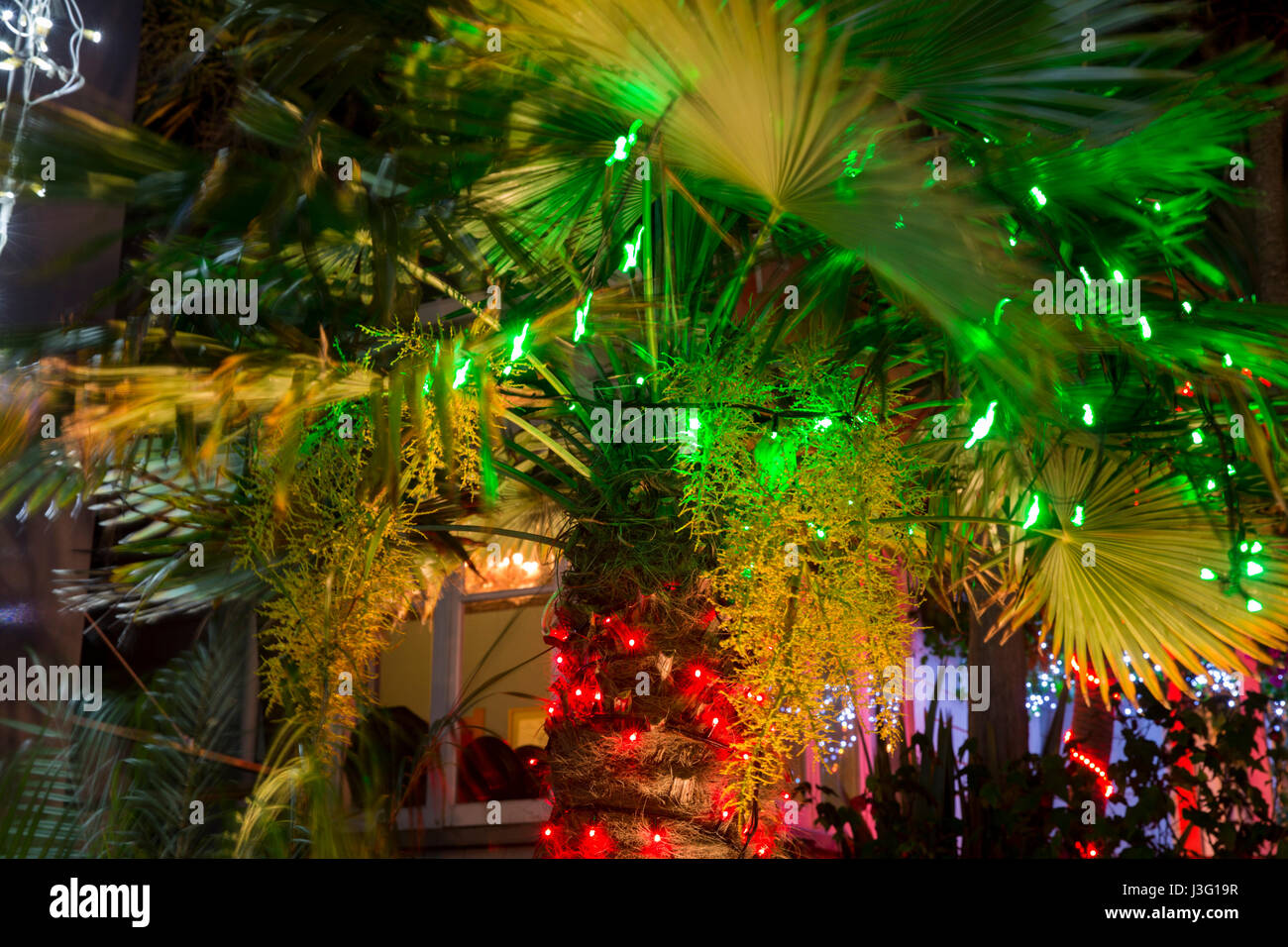 Christmas Lights decorate houses in Franklin Road, Auckland, New