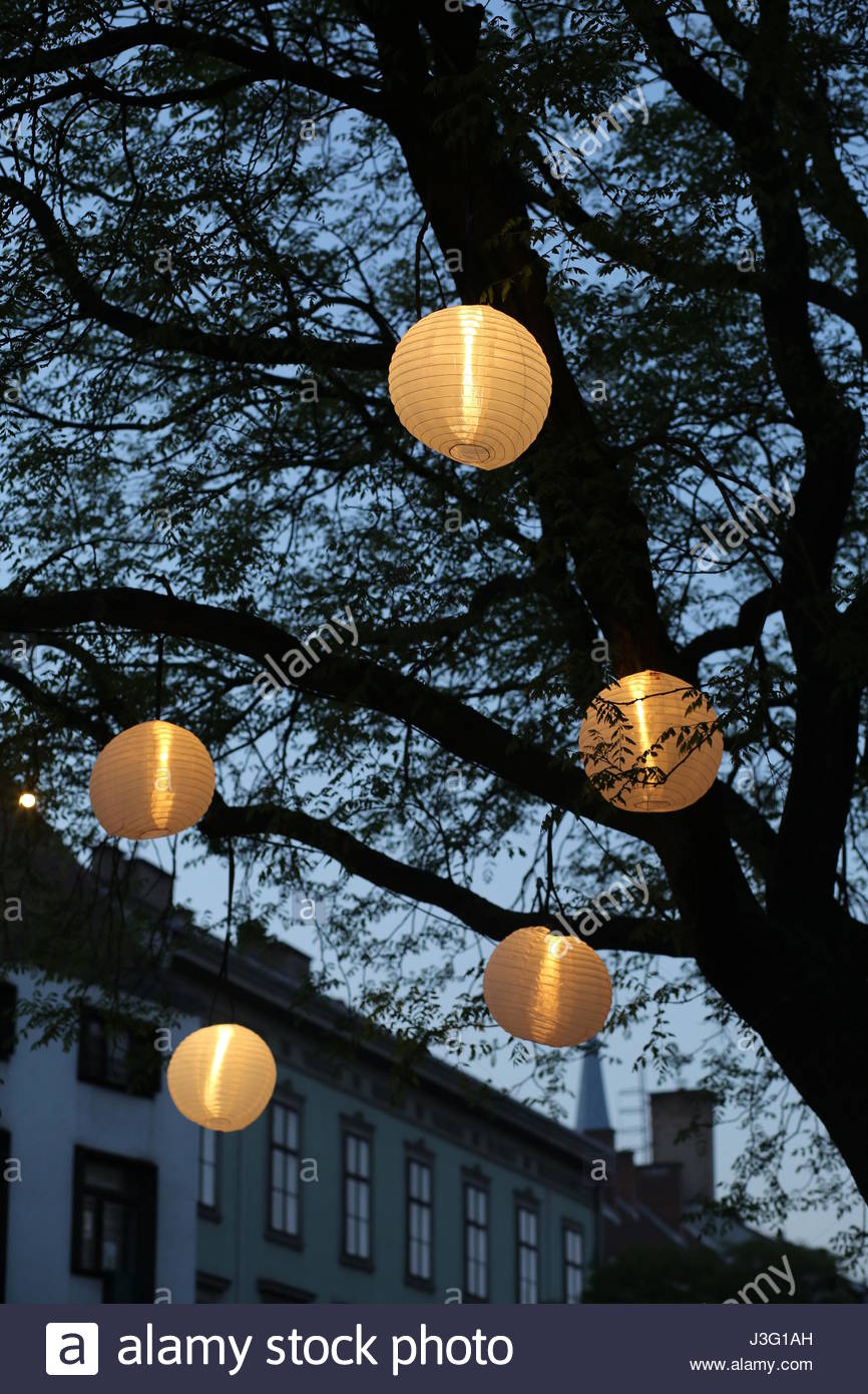 Summer lanterns hanging from a tree in a small town at night Stock