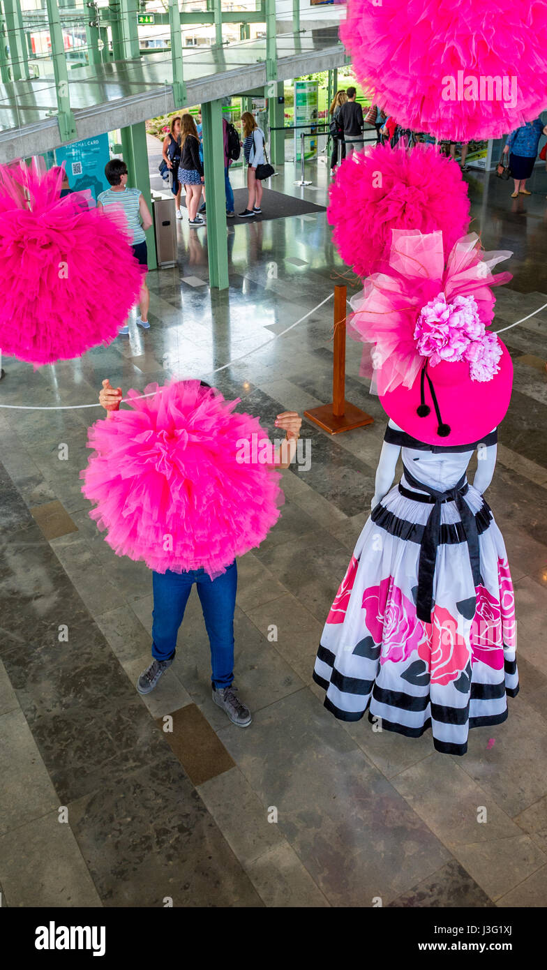 Hanging Hot Pink Pom-Pom Garlands, 9 ft. Strands