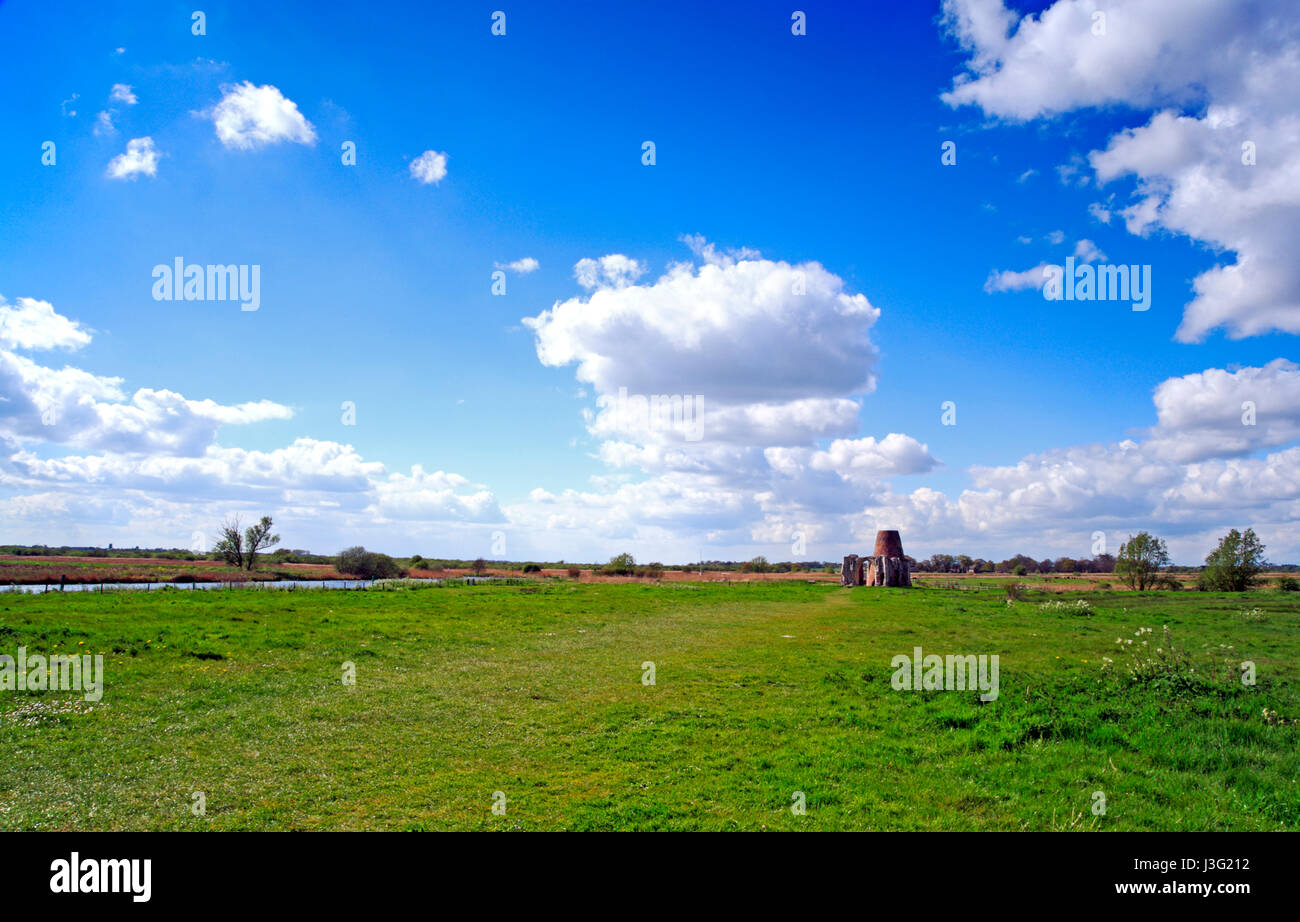 A view of St Abbey ruined Gatehouse and Drainage Mill by the
