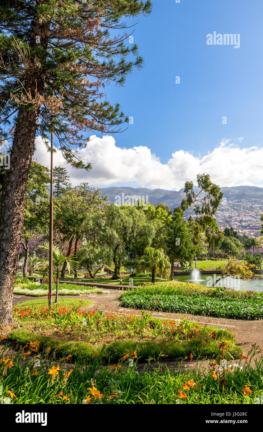 Santa Catarina Park, Funchal, Madeira Stock Photo