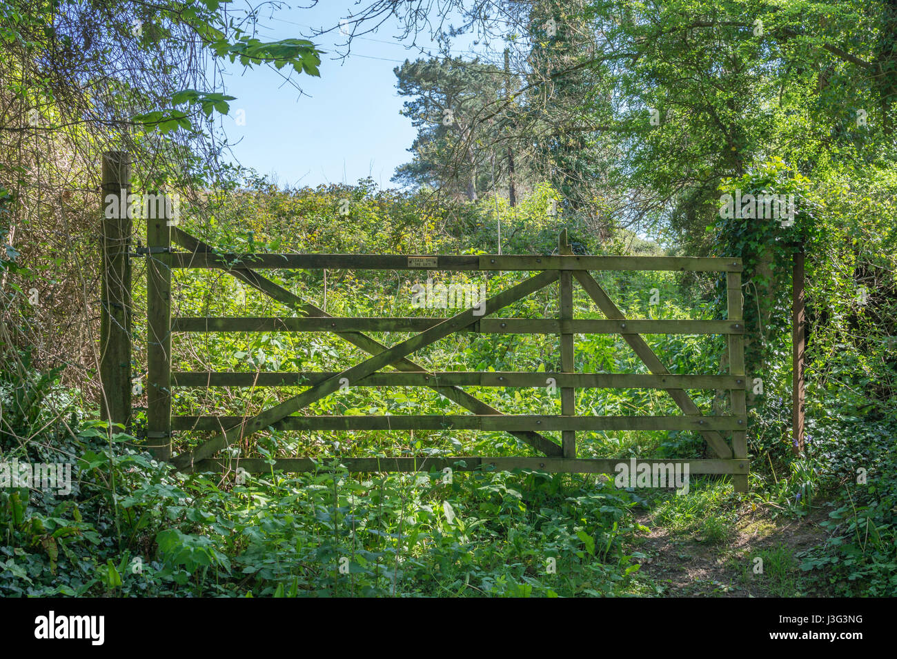 Closed wooden gate at entrance of an overgrown field / plot of land. Stock Photo