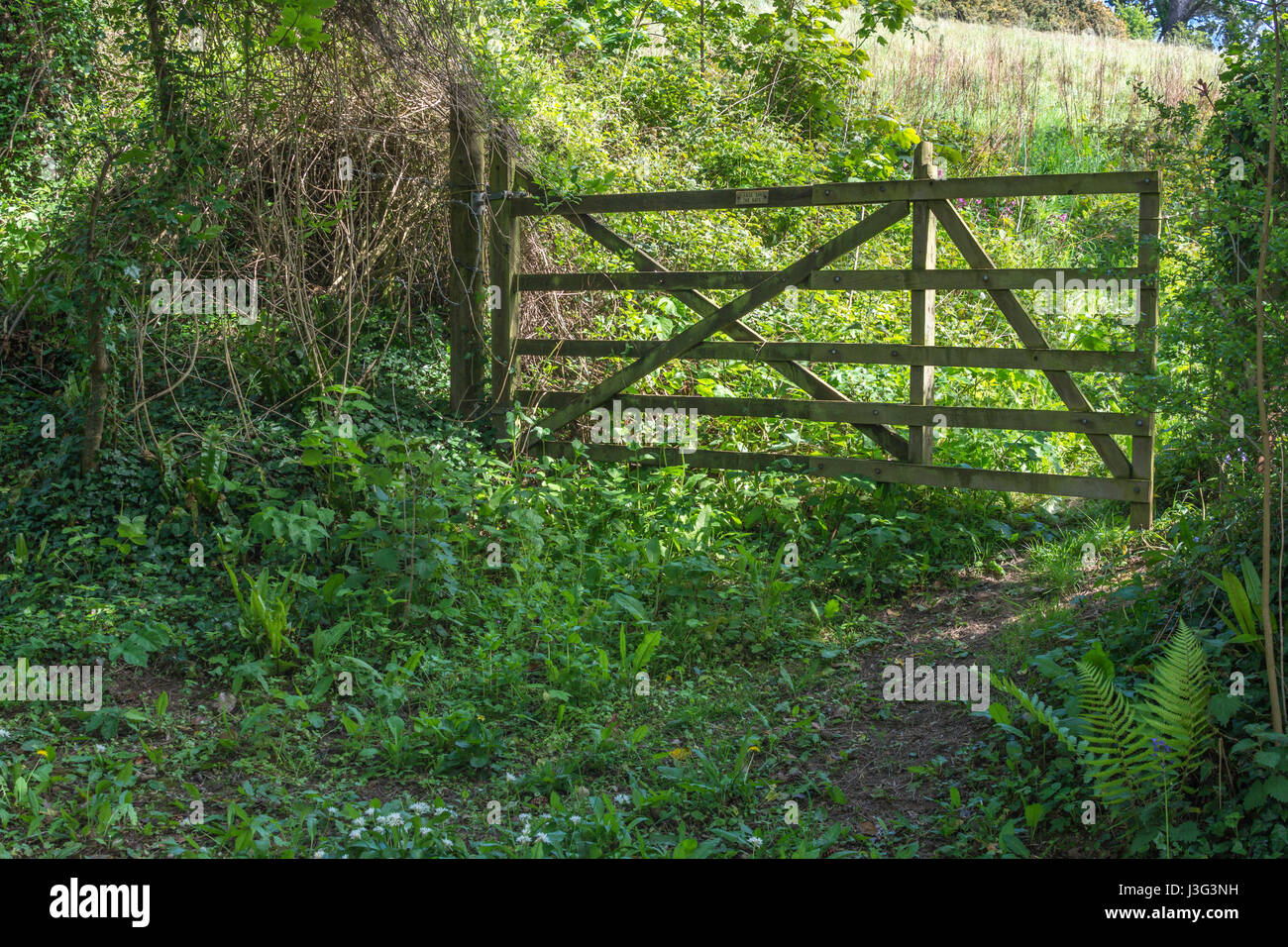 Closed wooden gate at entrance of an overgrown field / plot of land. Stock Photo