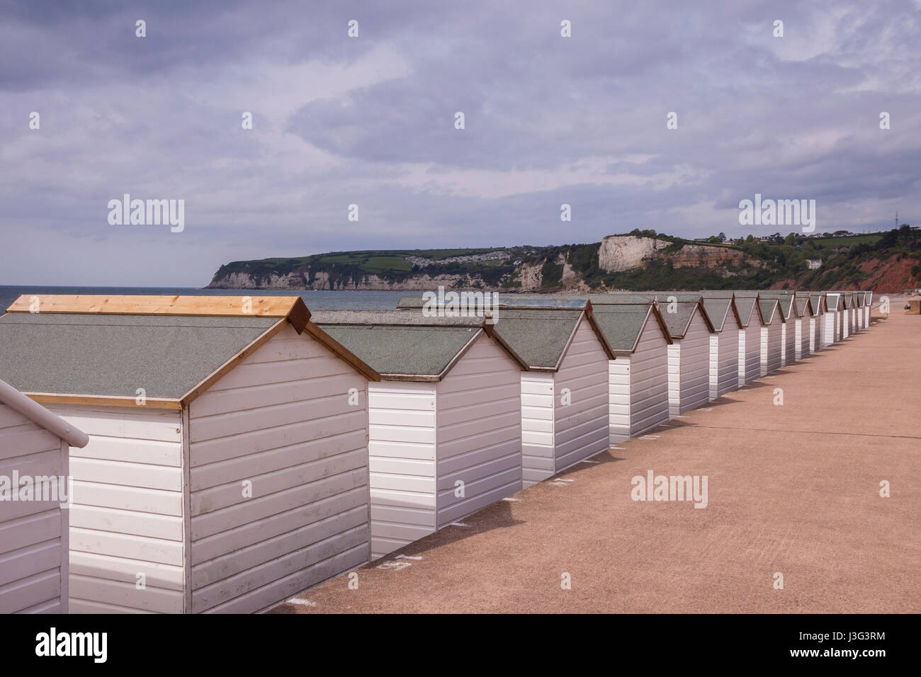 Beach huts on the beach at Seaton Devon, with blocks of flats behind