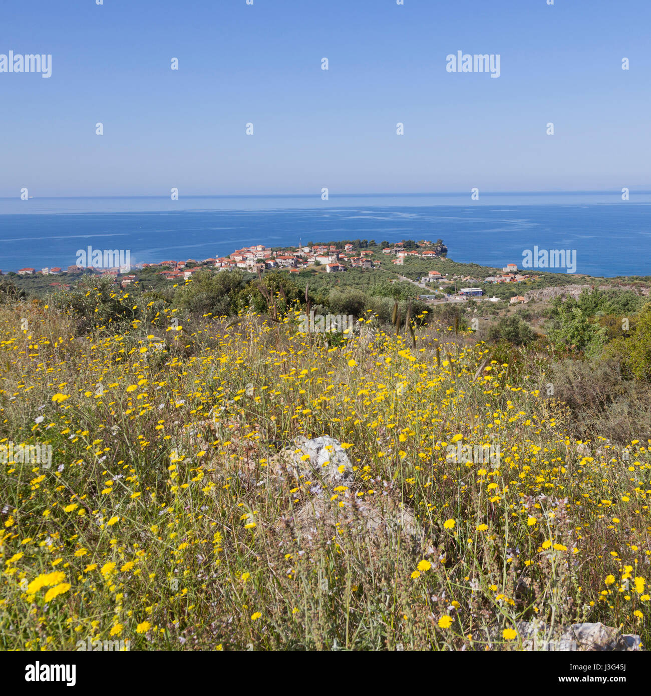 port of agioa nicolas near stoupa in mani on greek peloponnese seen from hill and looking over blue sea and sky in spring with many flowers Stock Photo