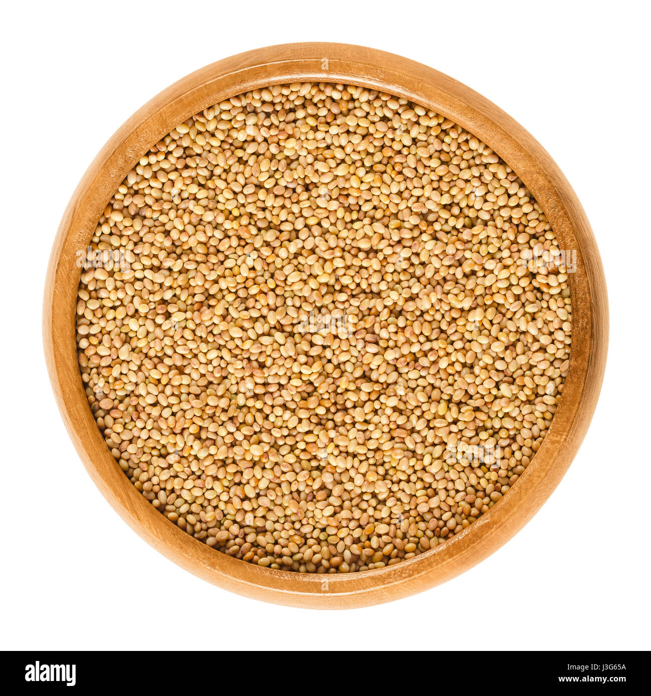 Crimson clover seeds in wooden bowl. Trifolium incarnatum, also known as Italian clover. Used for making protein-rich clover sprouts. Stock Photo