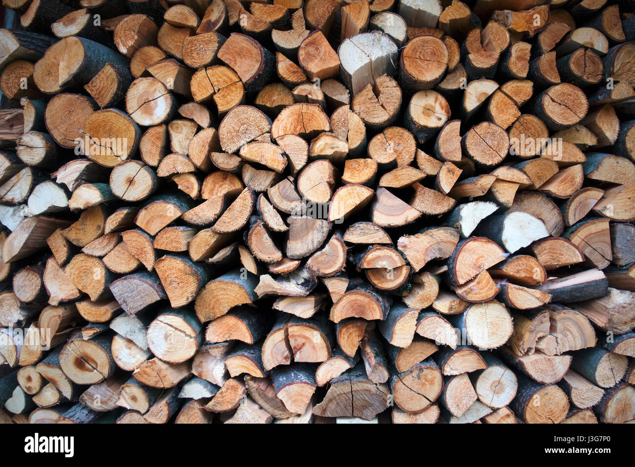 pattern of firewoods stack closeup Stock Photo