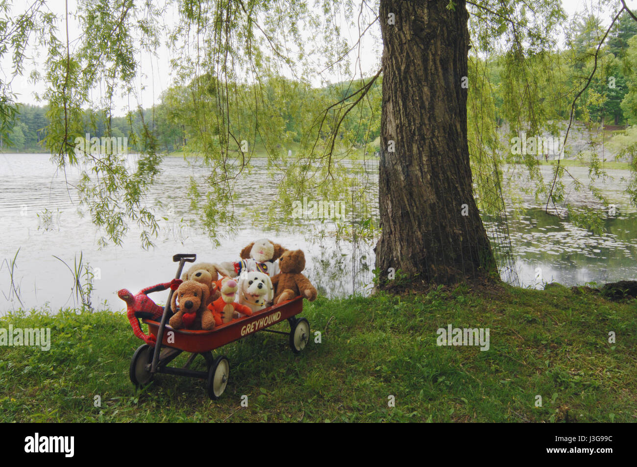 Red wagon filled with stuffed animals near willow tree on lake shore Stock Photo