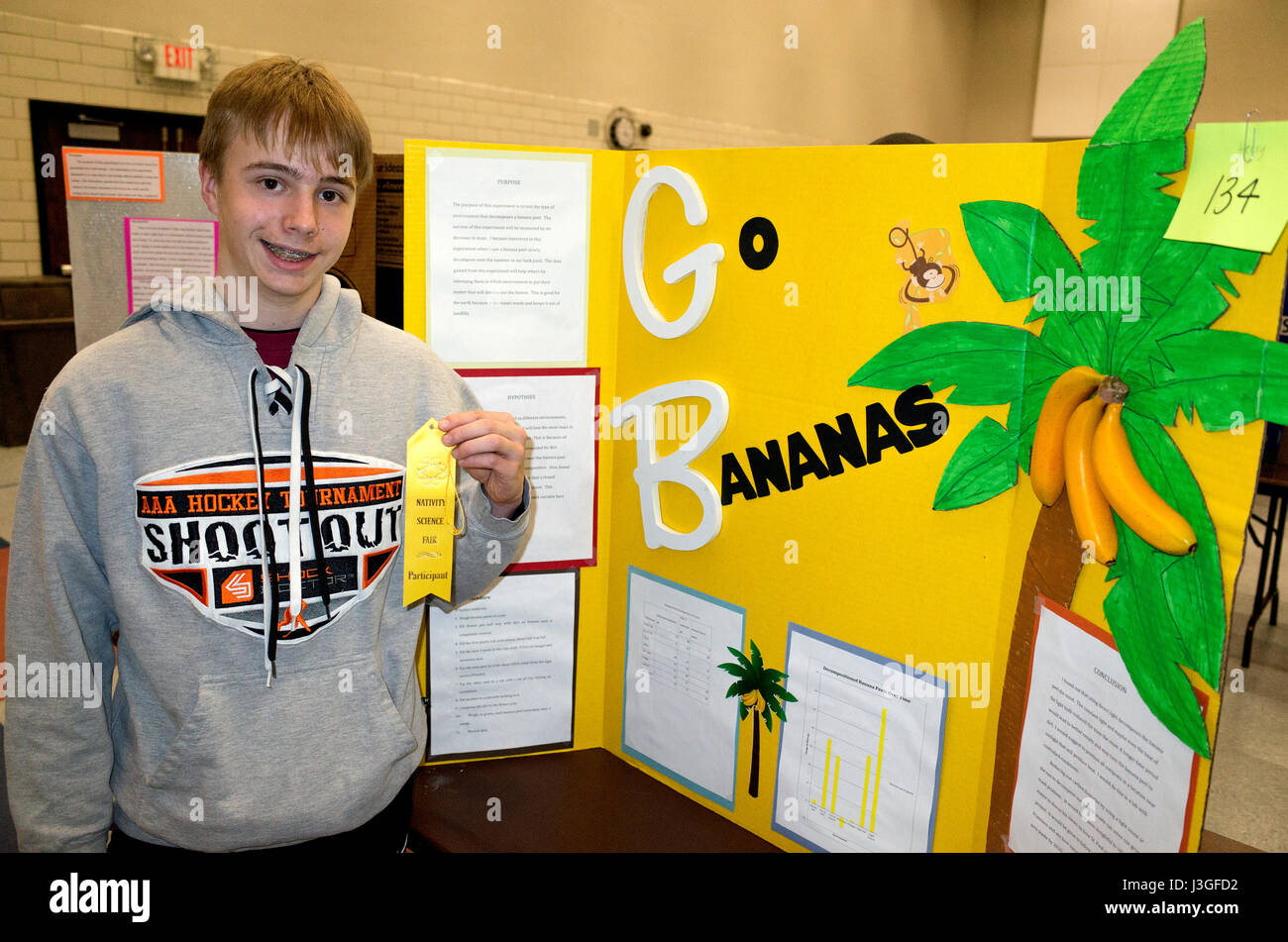 Junior high student holding an award ribbon for a study on the decomposition of bananas in a science poster project. St Paul Minnesota MN USA Stock Photo