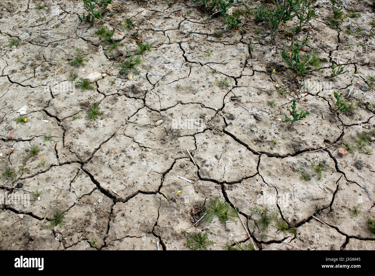 Drought dry cracked clay earth due to lack of rain Stock Photo