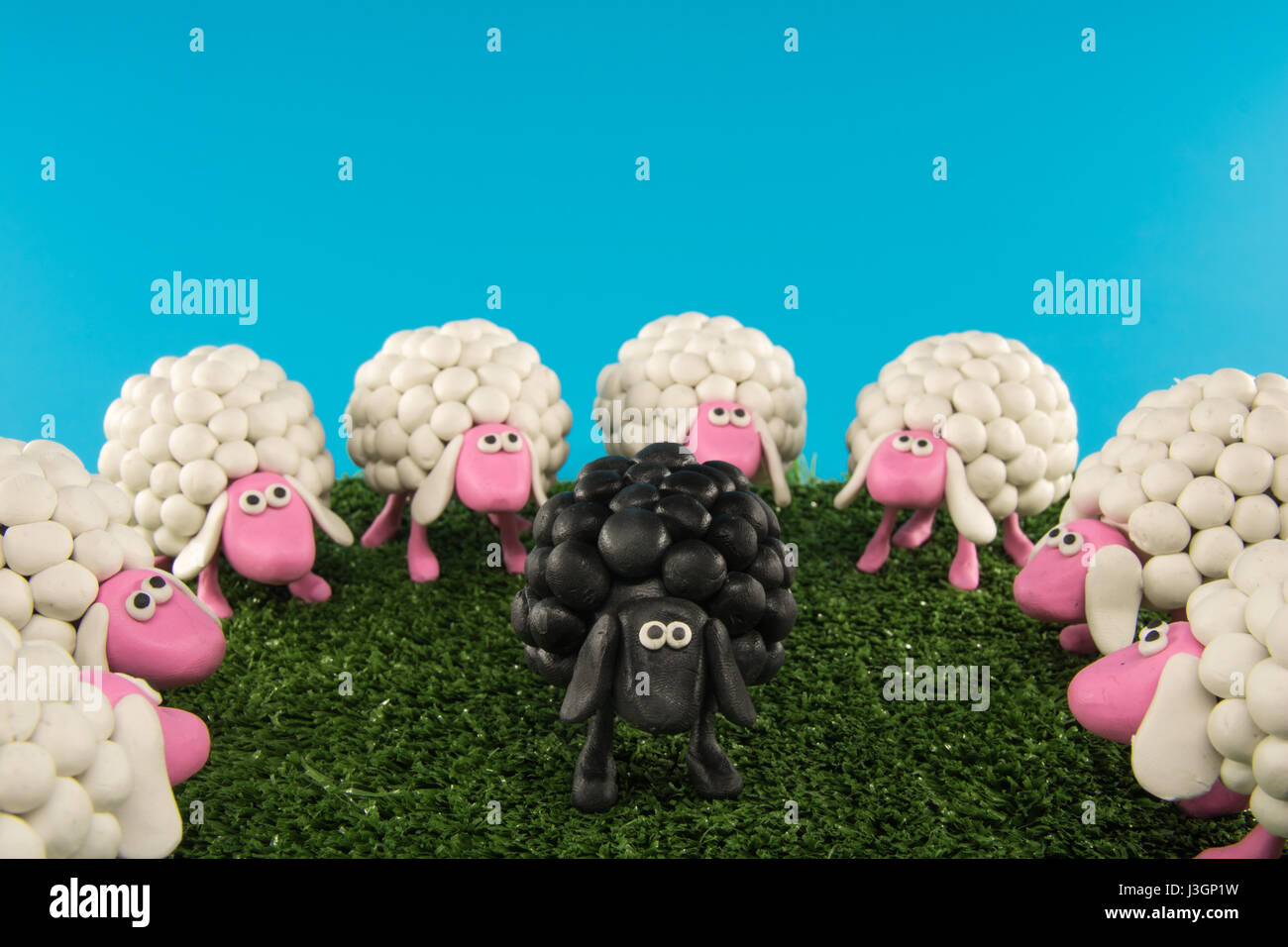 Concept - A circle of white sheep surrounds one black sheep, placed on a grassy surface Stock Photo