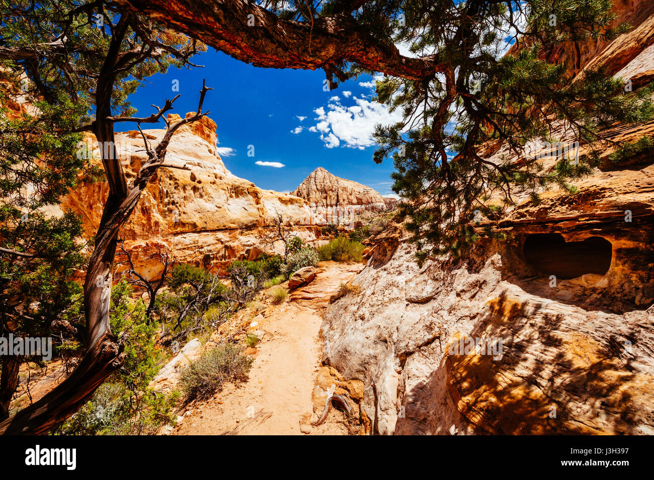 The trail to Hickman Bridge is Capitol Reef National Parks most popular hike and features fantastic views of the Waterpocket Fold and the majestic nat Stock Photo