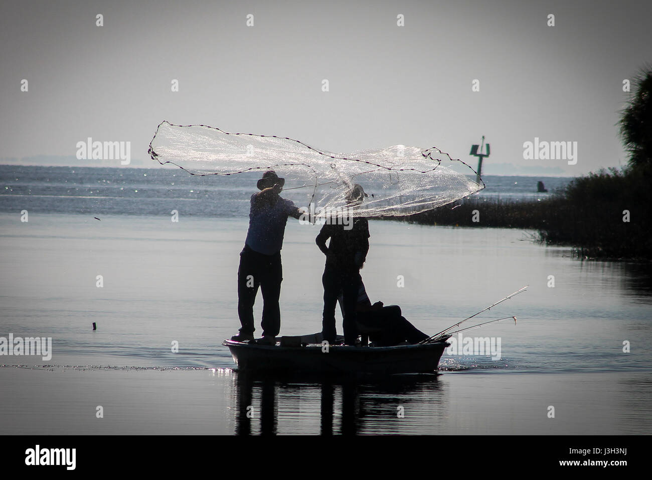 Net fishing in St Marks Florida Stock Photo Alamy