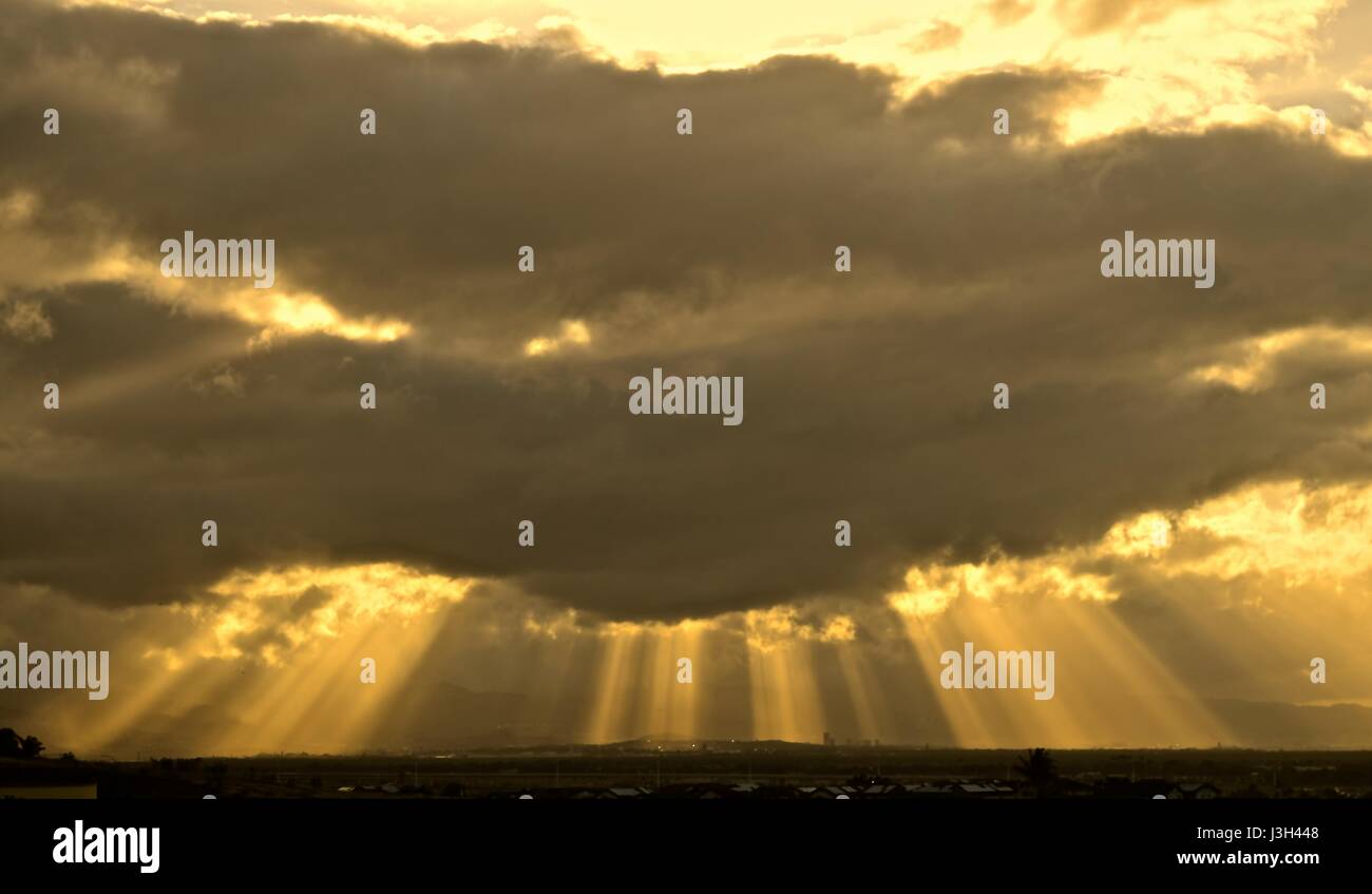 God rays, angel lights, sunlit columns are the most beautiful sights ...