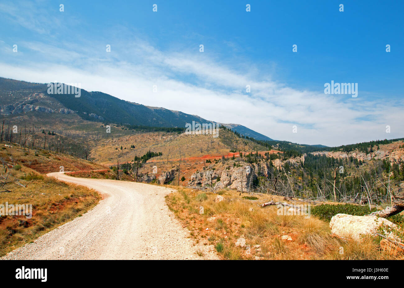 Crooked Creek Road through the Pryor Mountains in Montana USA Stock