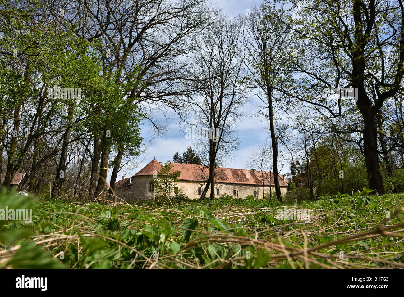 Old abandoned castle ruins in the forest. Transylvania, Romania Stock Photo