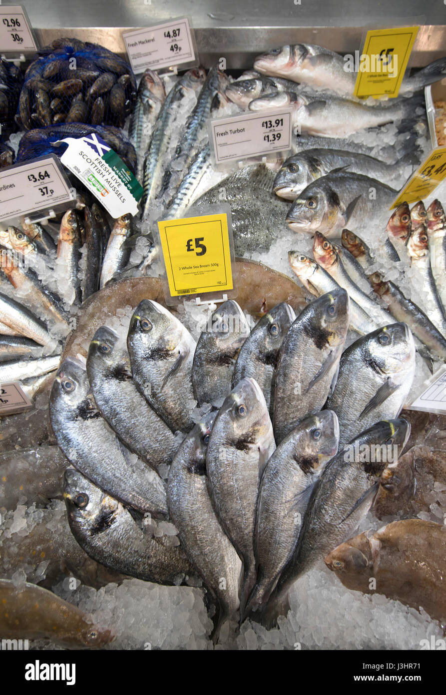Morrisons fish counter hires stock photography and images Alamy