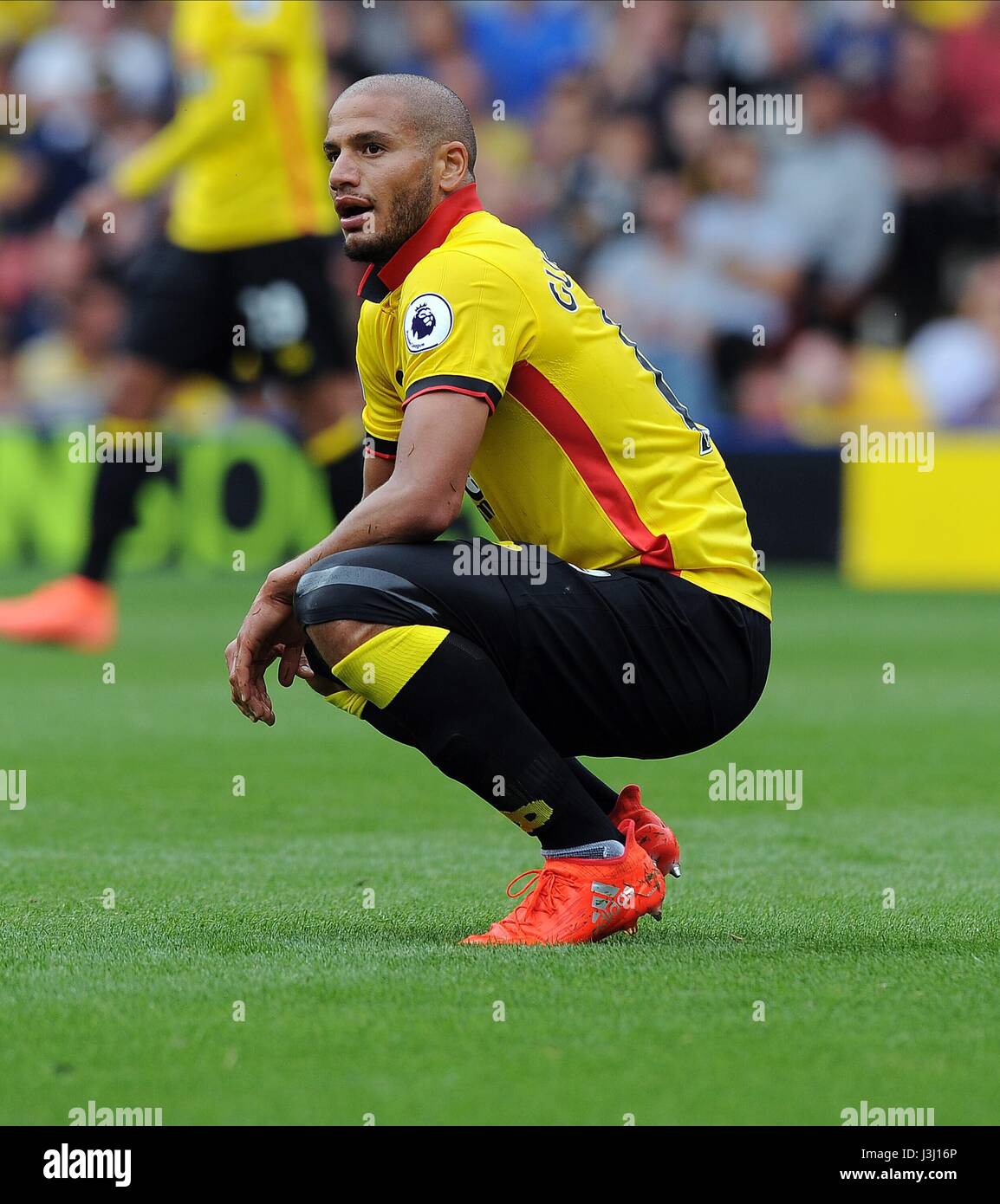 pics Adlene Guedioura Salary alamy