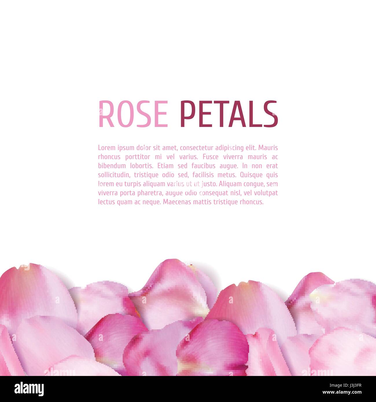 pink-rose-petals-border-stock-vector-image-art-alamy