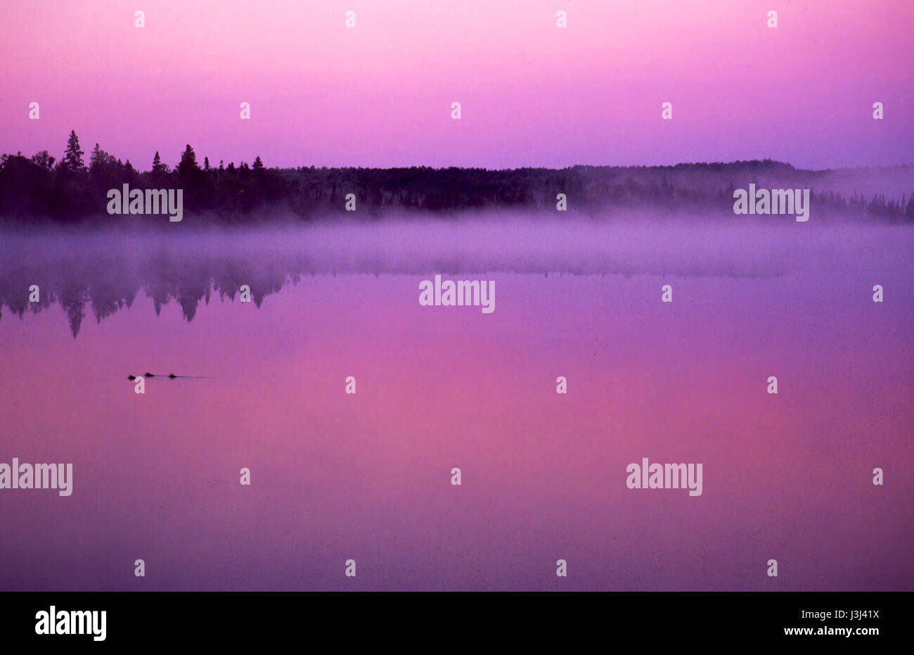 Sleeping Giant Provincial Park, Ontario, Canada 7 12 Stock Photo Alamy