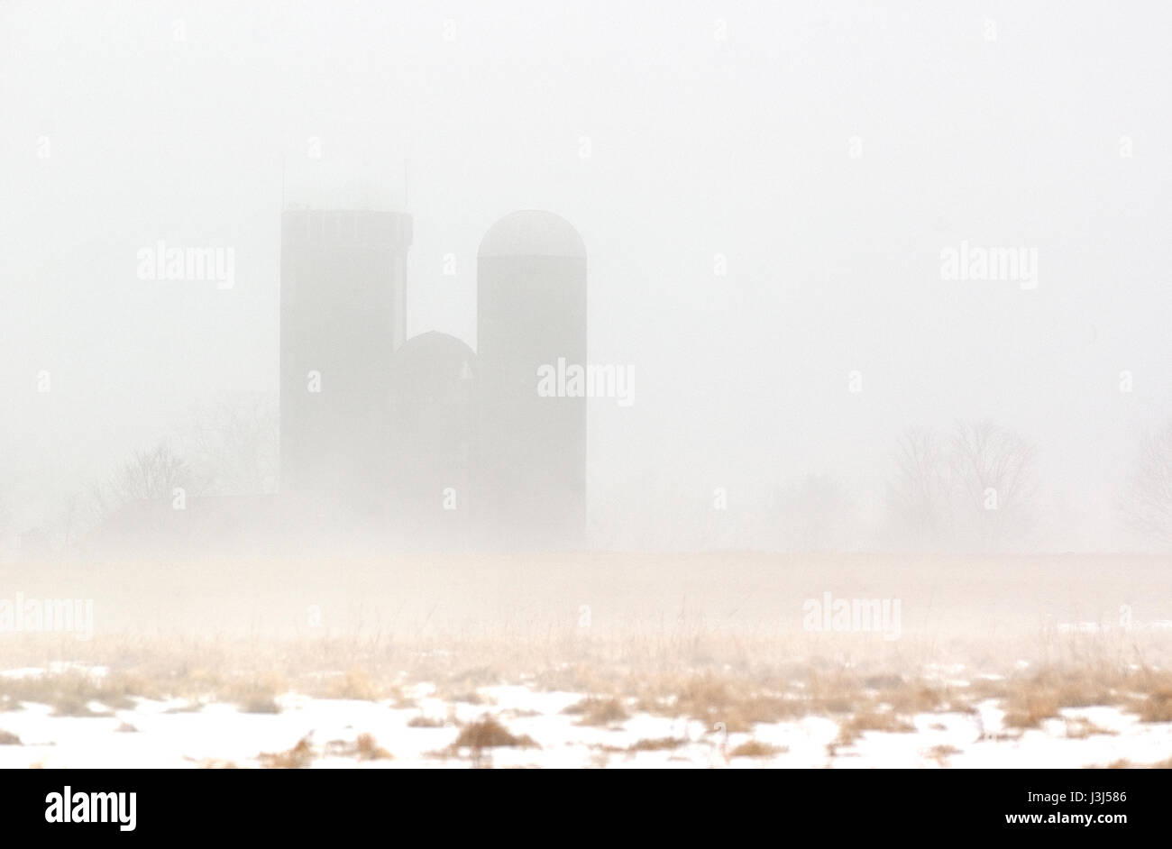 Silos on a farm in the fog in Jaffery, New Hampshire, USA Stock Photo