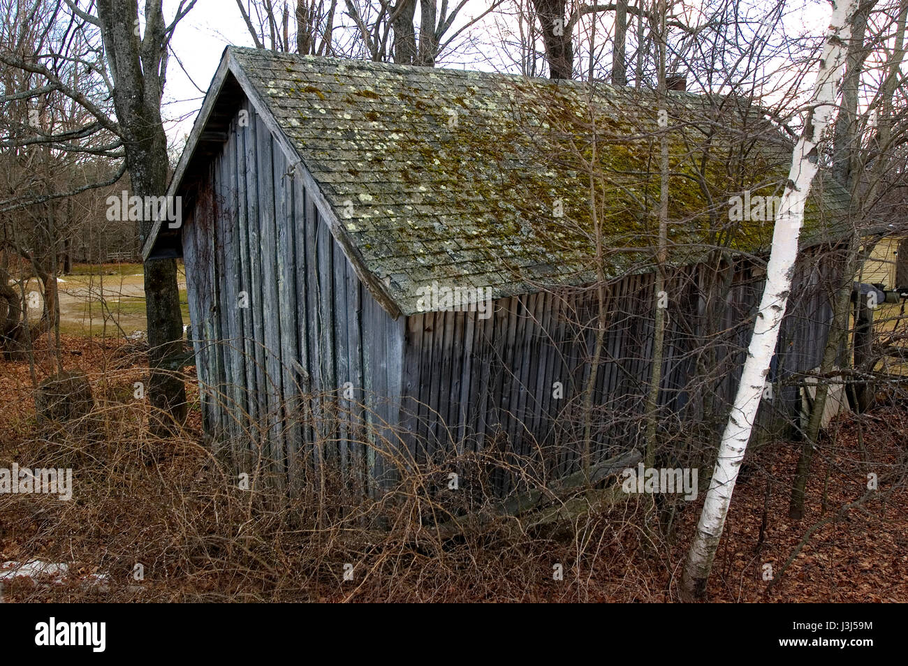 Corn crip hires stock photography and images Alamy
