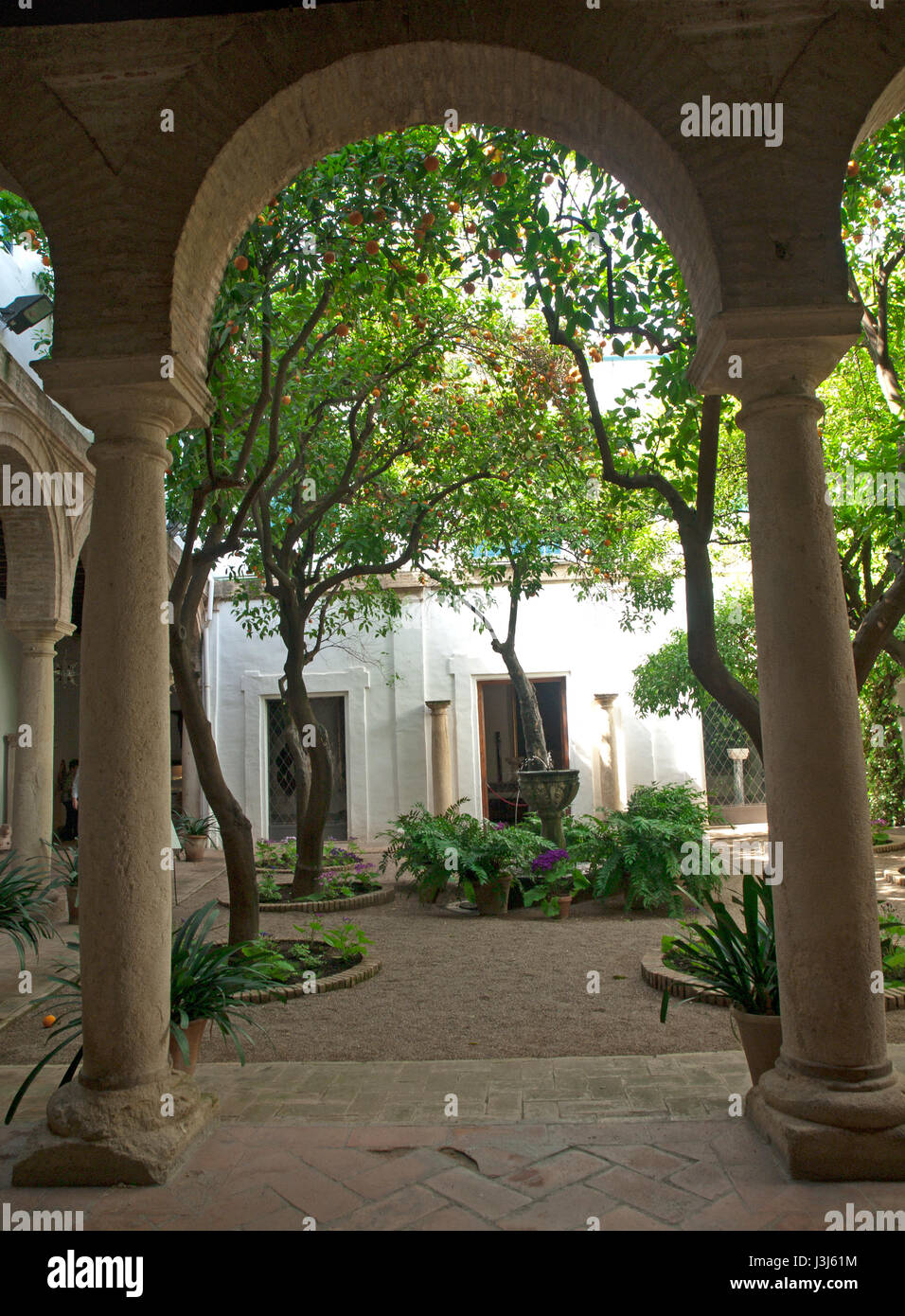 Shady courtyard garden hi-res stock photography and images - Alamy