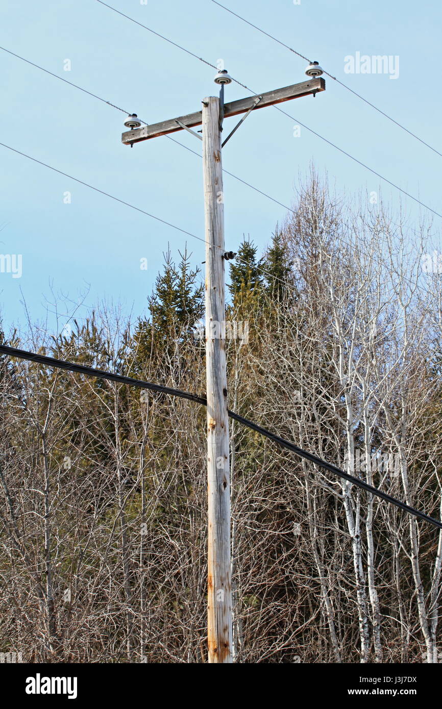 wood utility pole Stock Photo