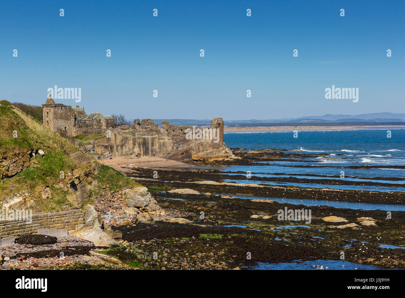 St Andrews Castle, St Andrews, Fife, Scotland, UK Stock Photo Alamy