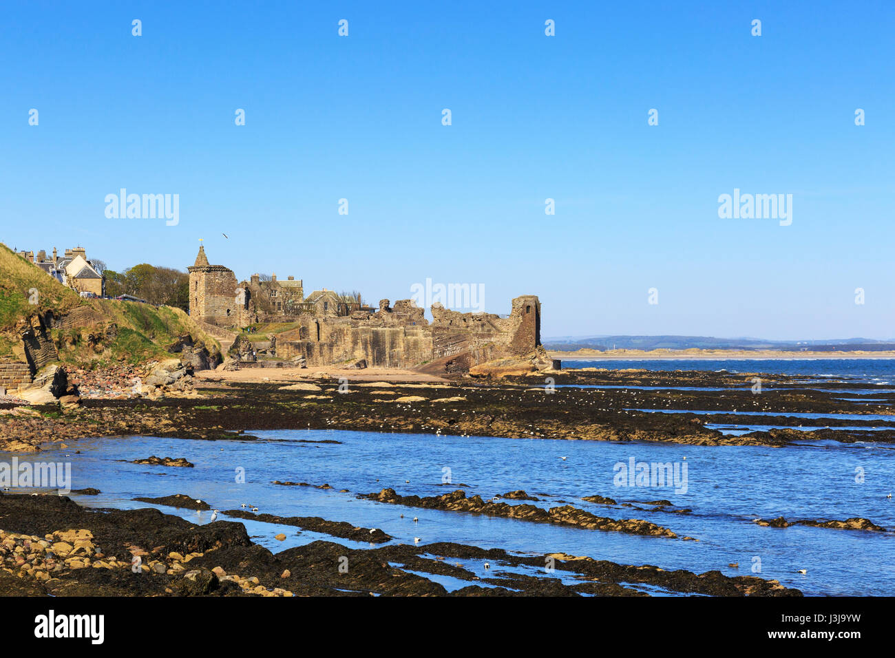 St Andrews Castle, St Andrews, Fife, Scotland, UK Stock Photo Alamy