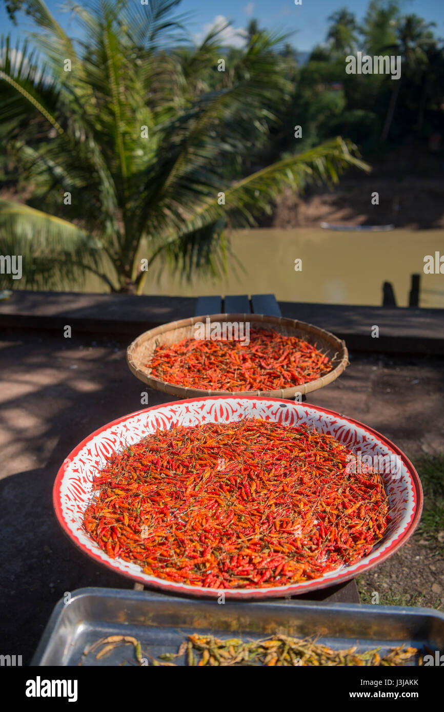 chili at the Nam Khan river in the town of Luang Prabang in the north of Laos in Southeastasia. Stock Photo