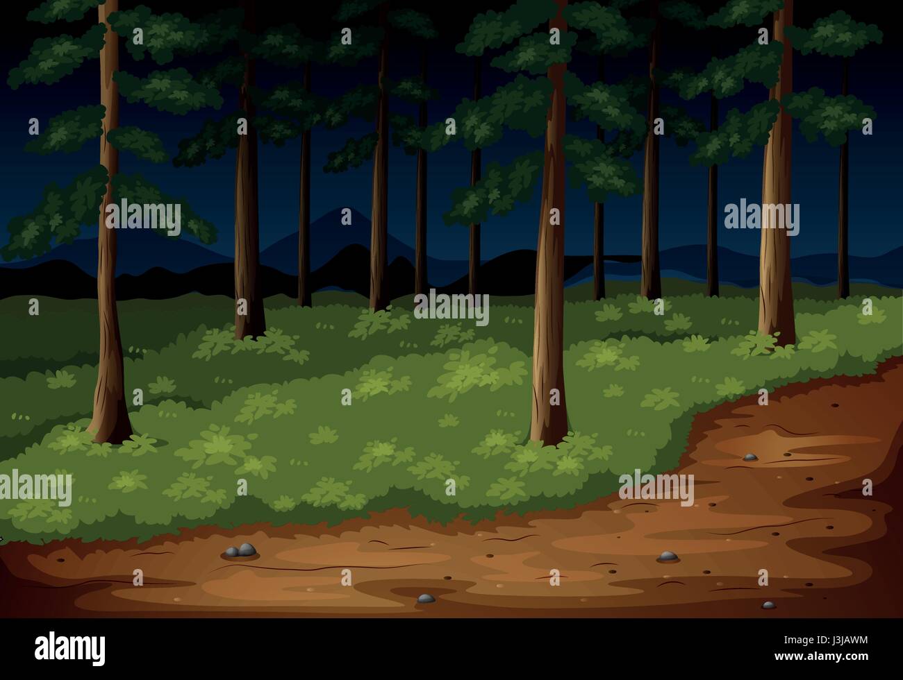 Forest scene with trees and trail at night illustration Stock Vector ...