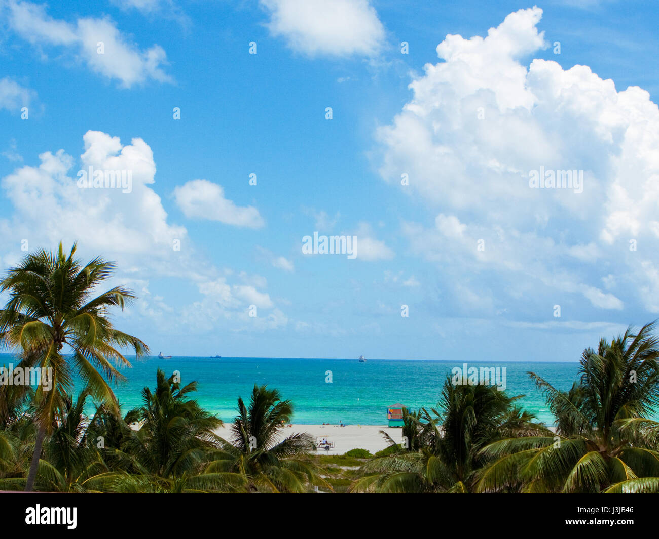 Palm trees on sandy beach with blue skies. Stock Photo