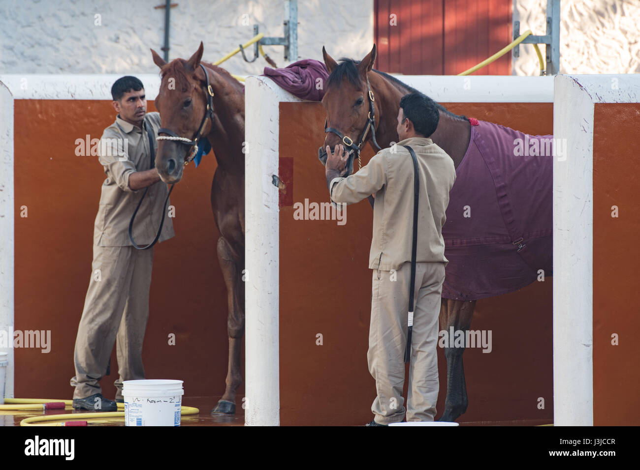 United arab emirates men groom hires stock photography and images Alamy