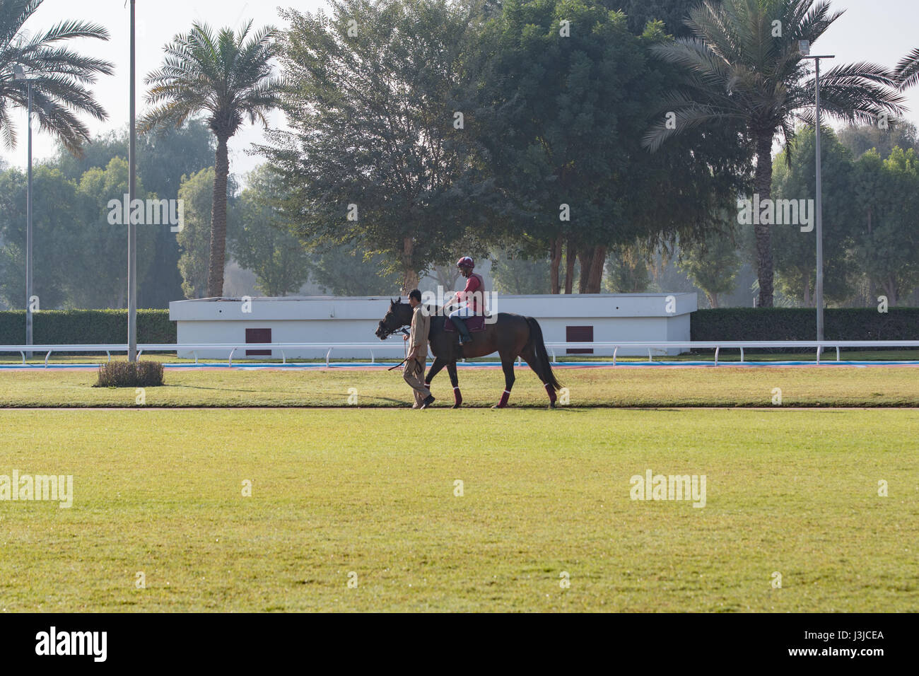 United Arab Emirates - Man riding racing horse in Dubai Stock Photo