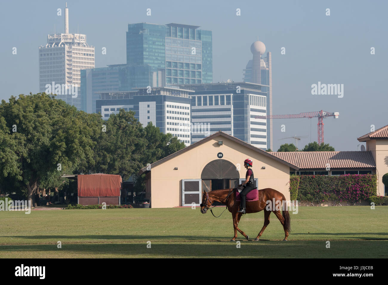 United Arab Emirates - City looms in background of horse rider in Dubai Stock Photo