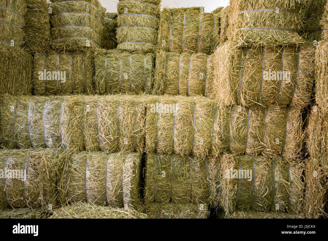 United Arab Emirates - Bales of hay in Dubai Stock Photo - Alamy